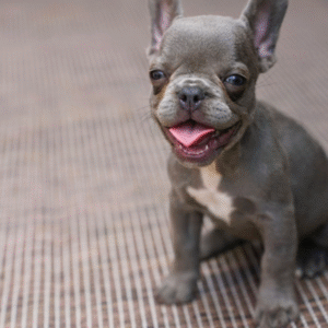 Screenshot_20250801-020342 Navee