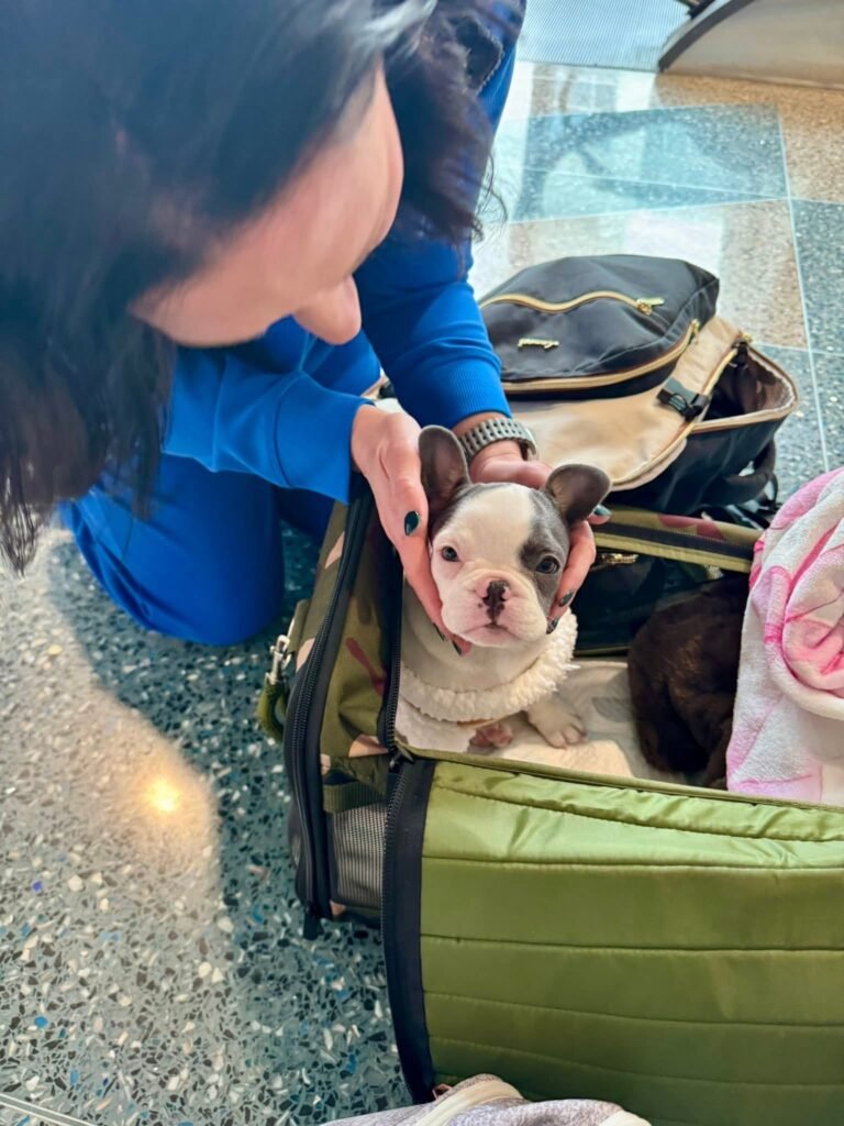 fb img 1770383302540