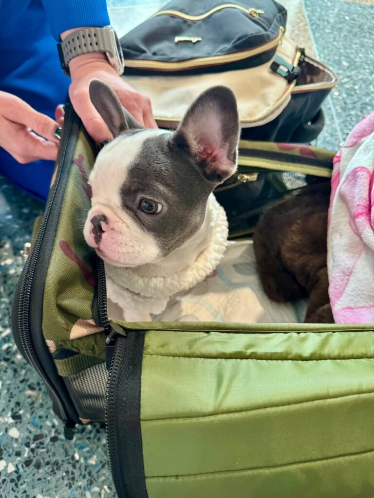 fb img 1770383305031