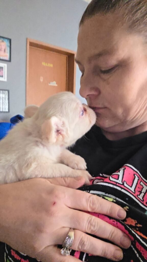 fb img 1771352557622