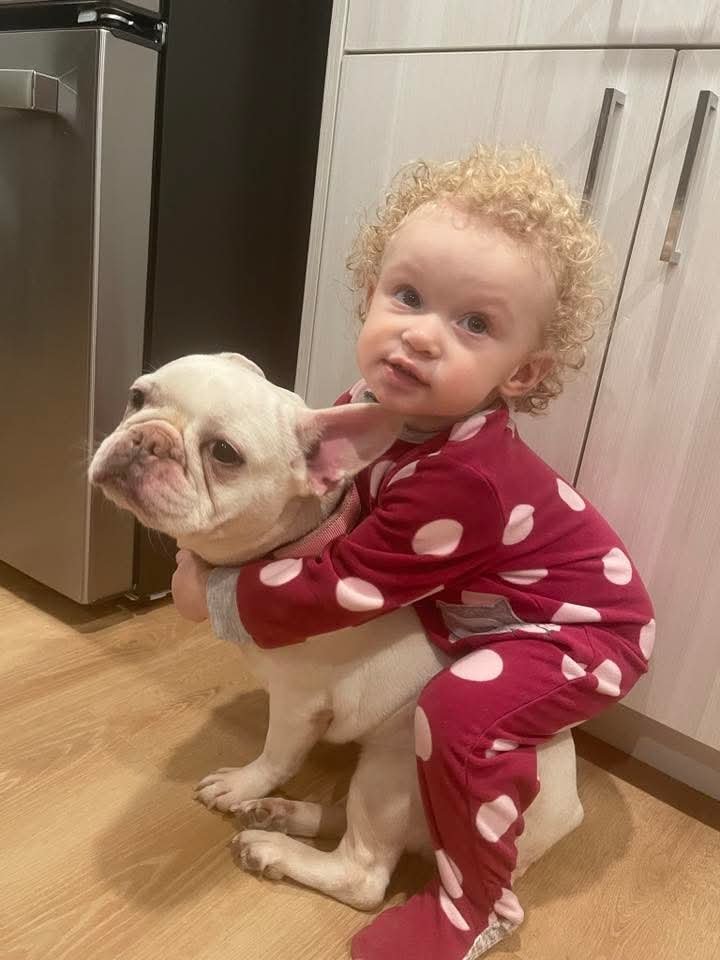 fb img 1771437901595