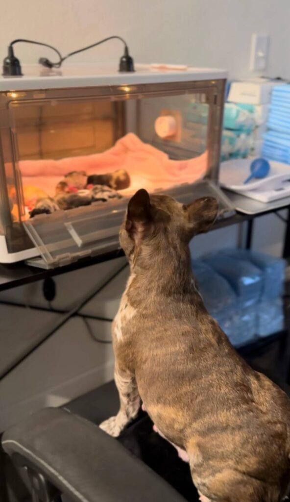 img 20260301 104434 845